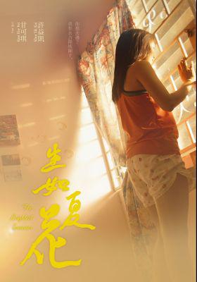 The Brightest Summer